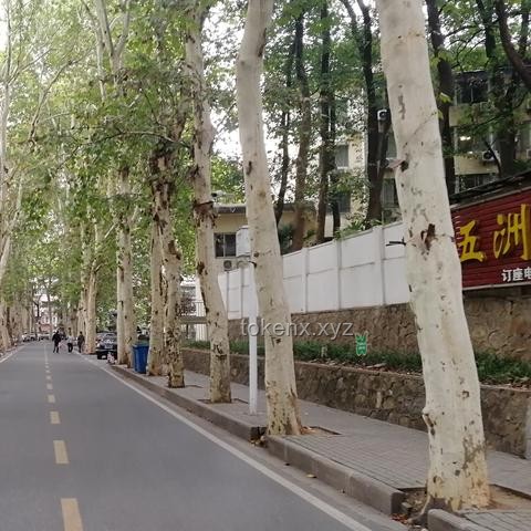 5月22日武汉暴雨警报解析：武大校门被淹，出行指南